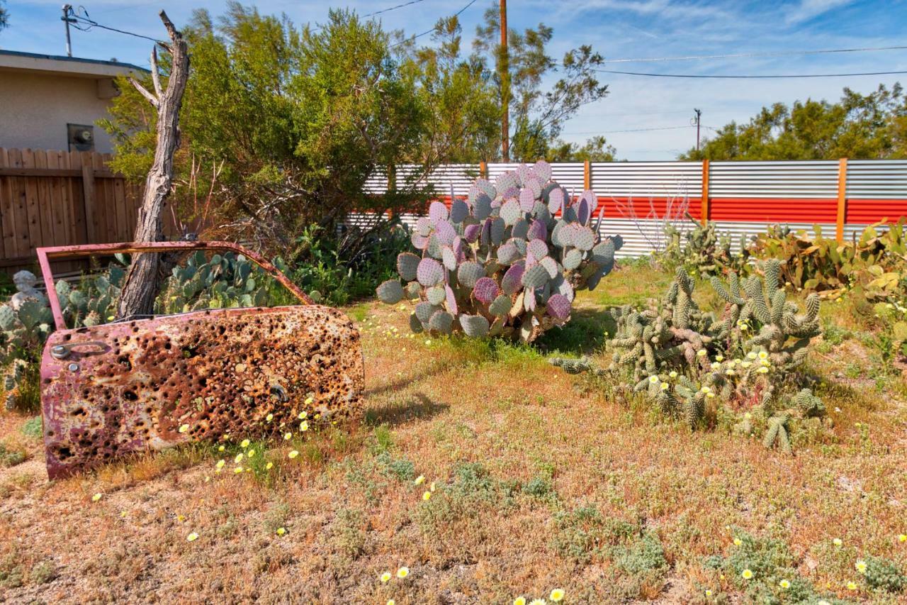 Cactus Adobe *