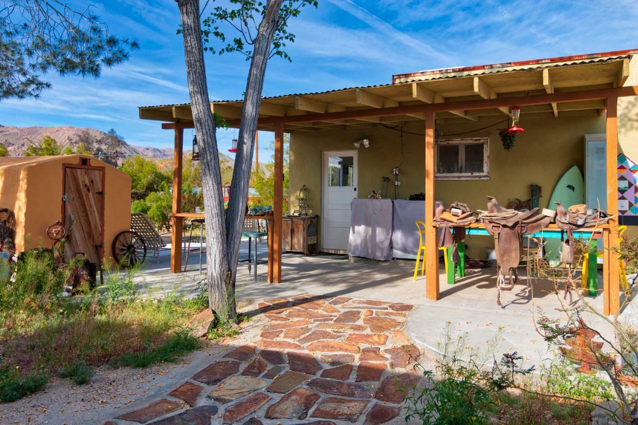 Cactus Adobe *